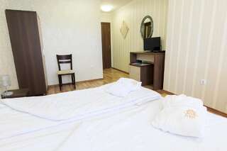 Отель Hotel Nikol Долна-Баня Двухместный номер «Комфорт» с 1 кроватью и ванной-2